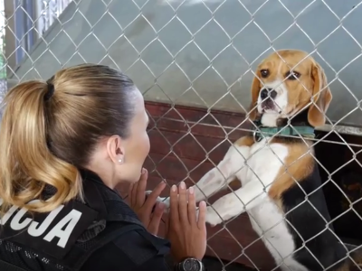 „Policjantki i policjanci”: Nie kupuj, adoptuj! (wideo)