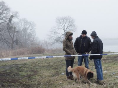 WK_ODC_54_gosiastasiewicz_20122016_59.jpg <br>
                     
                     