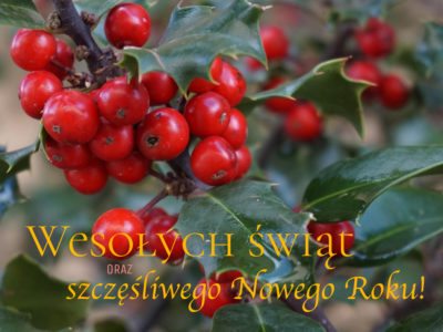 Życzenia bożonarodzeniowe od ATM Grupy